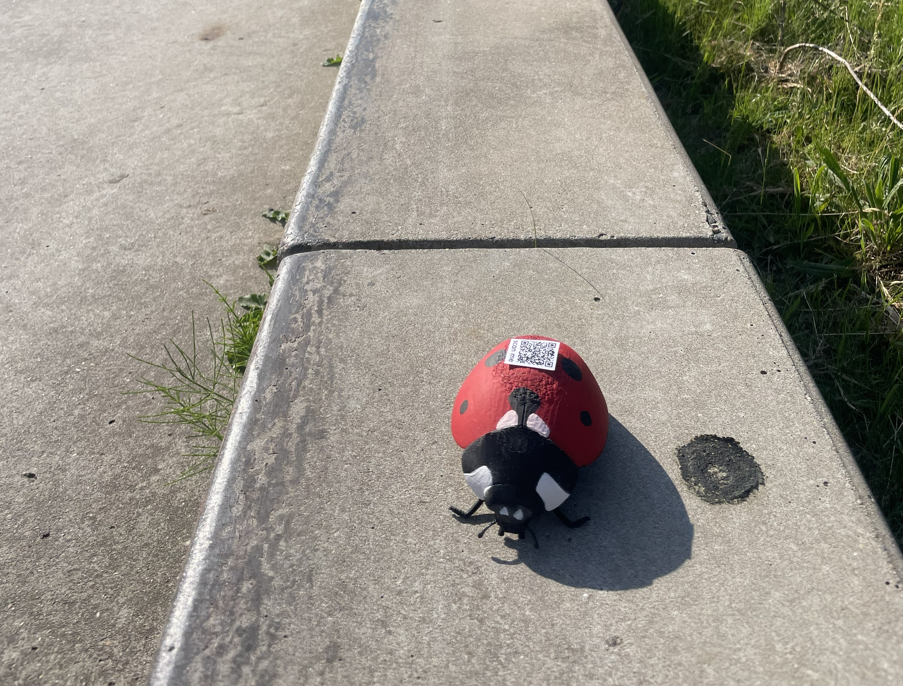 3D-geprint insect